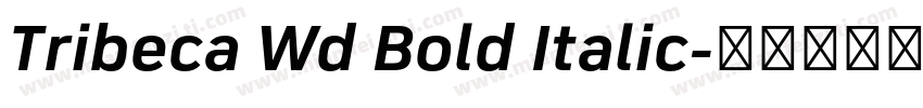 Tribeca Wd Bold Italic字体转换